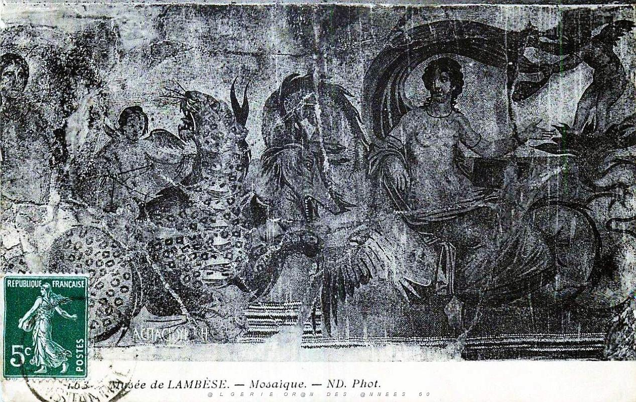 ALGERIE-RUINES ROMAINES DE LAMBESE (74).jpg